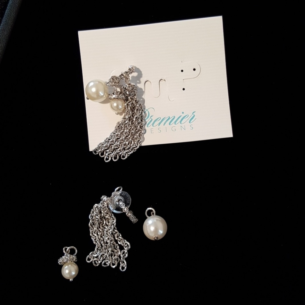 Girl's Best Friend earrings